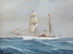 S. Y. Narada