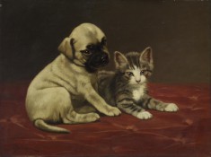Good Friends (Puppy and Kitten)