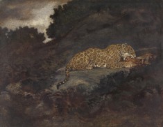 Leopard Eating