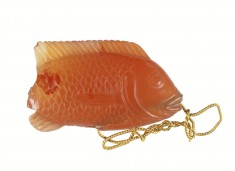 Tilapia Fish