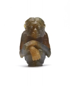 Chimpanzee