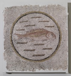 Floor Mosaic Fragment with Fish in a Roundel