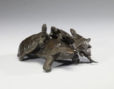 Five Turtles