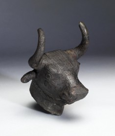Head of a Bull