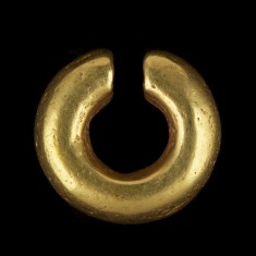 Nose Ring