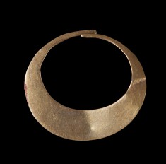 Nose Ring
