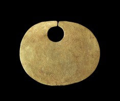 Nose Ring with Oval Disc