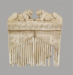 Comb with Lions and Geometric Designs