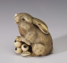 Rabbit with Loquats