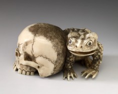 Skull and Toad