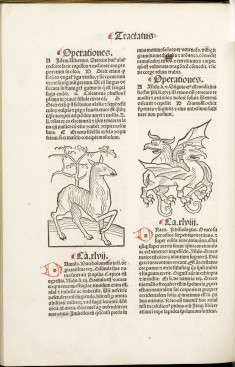 Hortus sanitatis