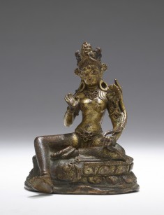 Tara