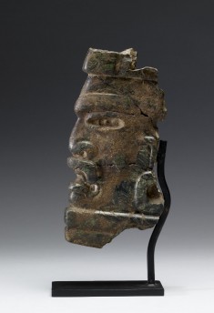Profile Face (Fragment)