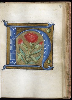 Leaf from Alphabet Book