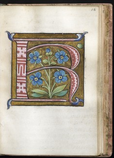 Leaf from Alphabet Book