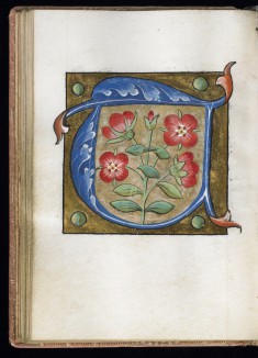 Leaf from Alphabet Book