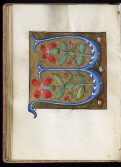 Leaf from Alphabet Book