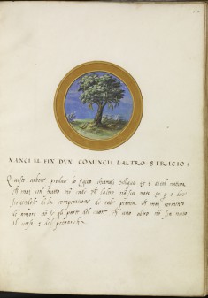 Leaf from Emblem Book
