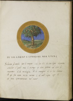 Leaf from Emblem Book