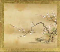 Bird in Prunus Tree