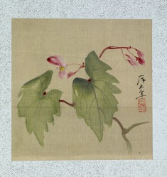 Leaf from Album Depicting Birds, Flowers, Landscapes, and Flower Pots