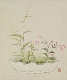 Leaf from Album Depicting Birds, Flowers, Landscapes, and Flower Pots