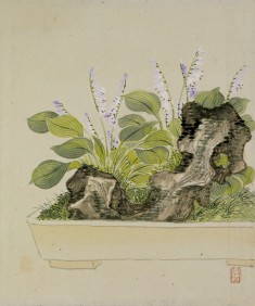 Leaf from Album Depicting Birds, Flowers, Landscapes, and Flower Pots