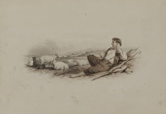 Shepherd and Sheep