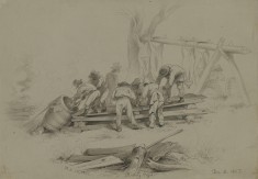 Killing Hogs