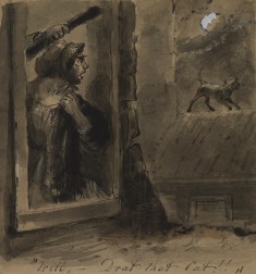 Drat That Cat