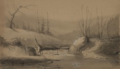 Stream with a Fallen Tree