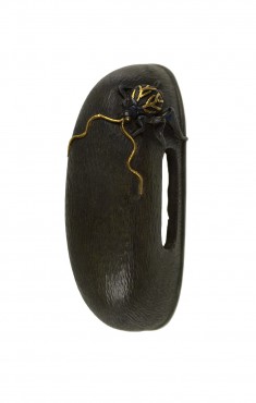 Kashira with a Cricket