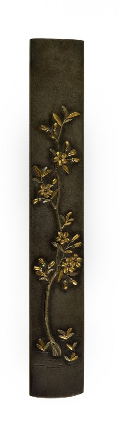 Kozuka with a Young Cherry Tree in Bloom