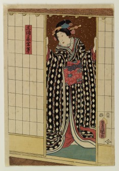 Miura mekake Wakakusa