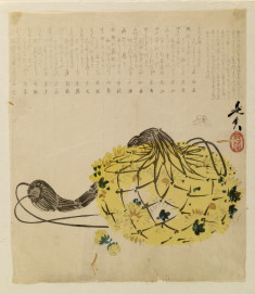 Mums in a net bag, poems above