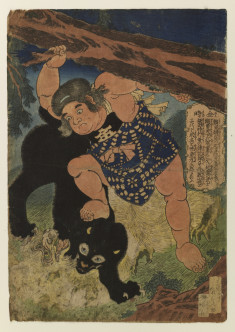 Kintoki {Kintaro} pulls up tree to stop bear and monkey(?) fighting.