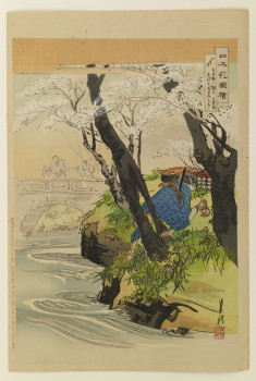 Cherry trees on a river bank
