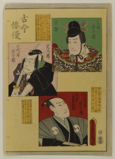 Kokon haiyu
