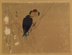Swallows on a Weeping Cherry Tree