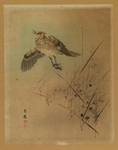 Bird Taking Flight from Autumn Grasses