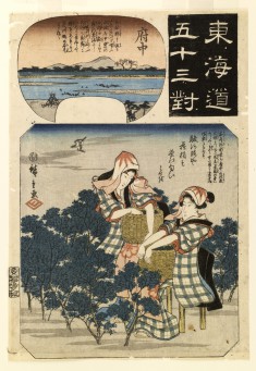 Tokaido gojusan tsui