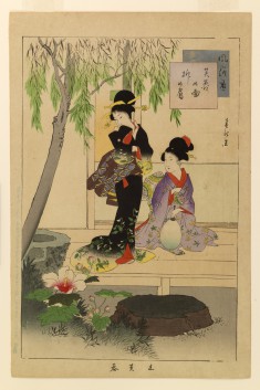 Fuzoku ga