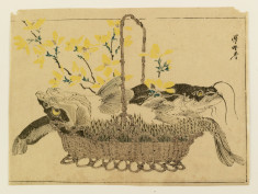 Catfish, carp, and flowers in a basket