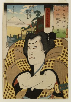Nanatsu iroha Toto Fuji zukushi