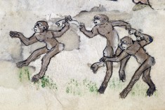 Leaf from Psalter-Hours: Apes Dancing to Ring-around-a-Rosy