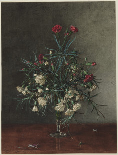 Vase of Red and White Carnations