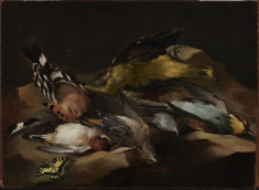 Still Life of Birds and a Butterfly