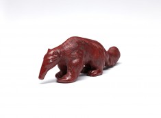 Anteater