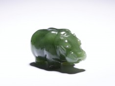 Hippopotamus