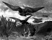 Hawk Attacking Ducks Thumbnail